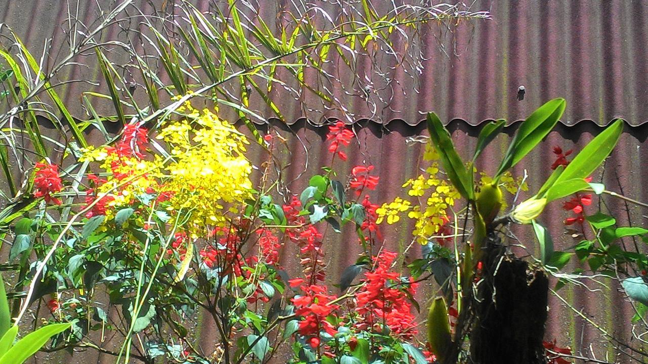 Chale Rancho Aratama Bed & Breakfast Jacarei Luaran gambar